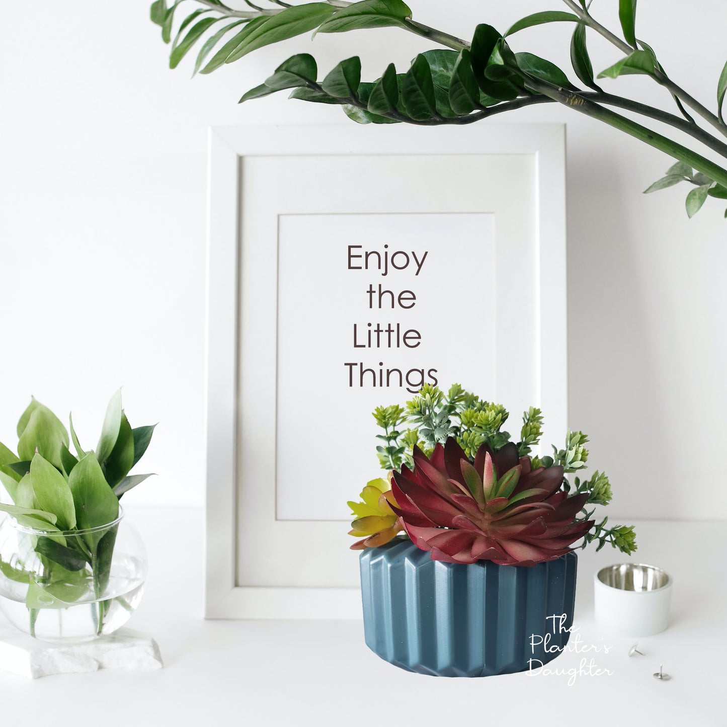 Lotus Succulent Euphoria in Vase