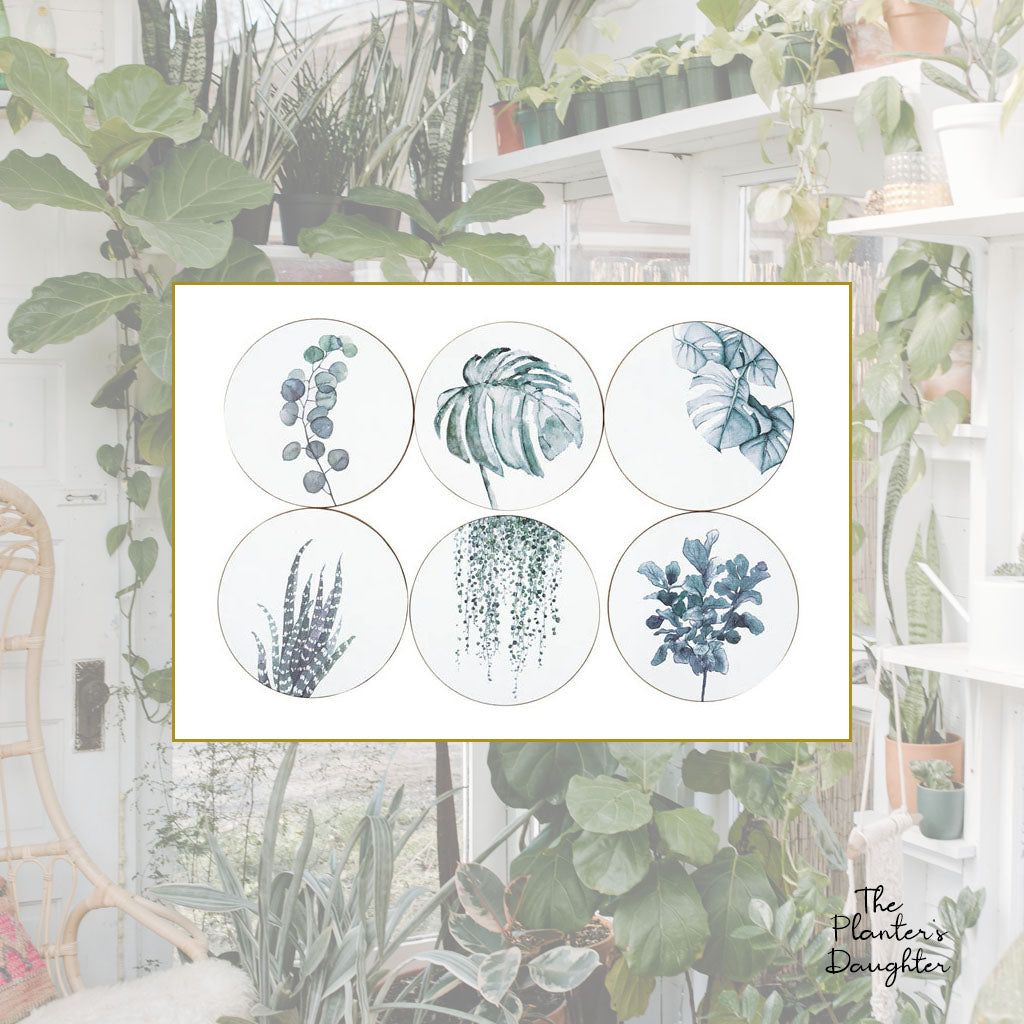 Voules Botanicals Coaster Set II