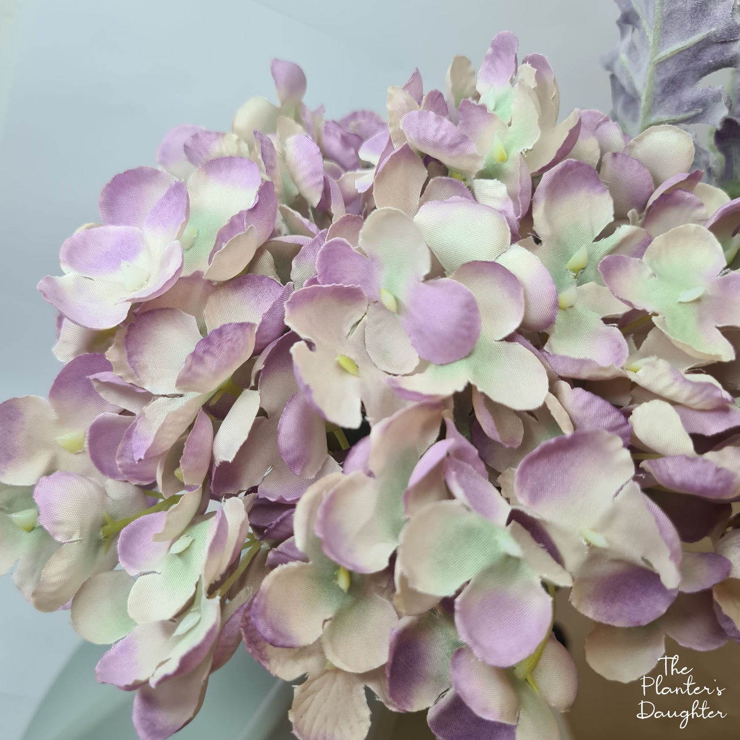 Audrey Purple Hydrangea & Miller Leaf with Vase