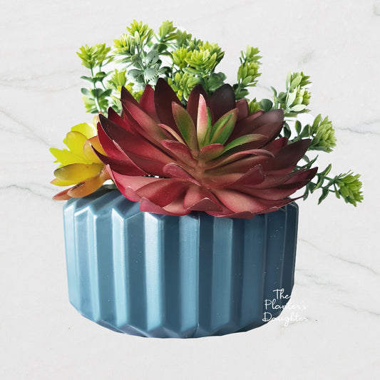 Lotus Succulent Euphoria in Vase