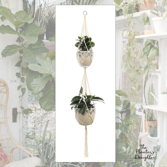 Double Envy Macrame Plant Hanger