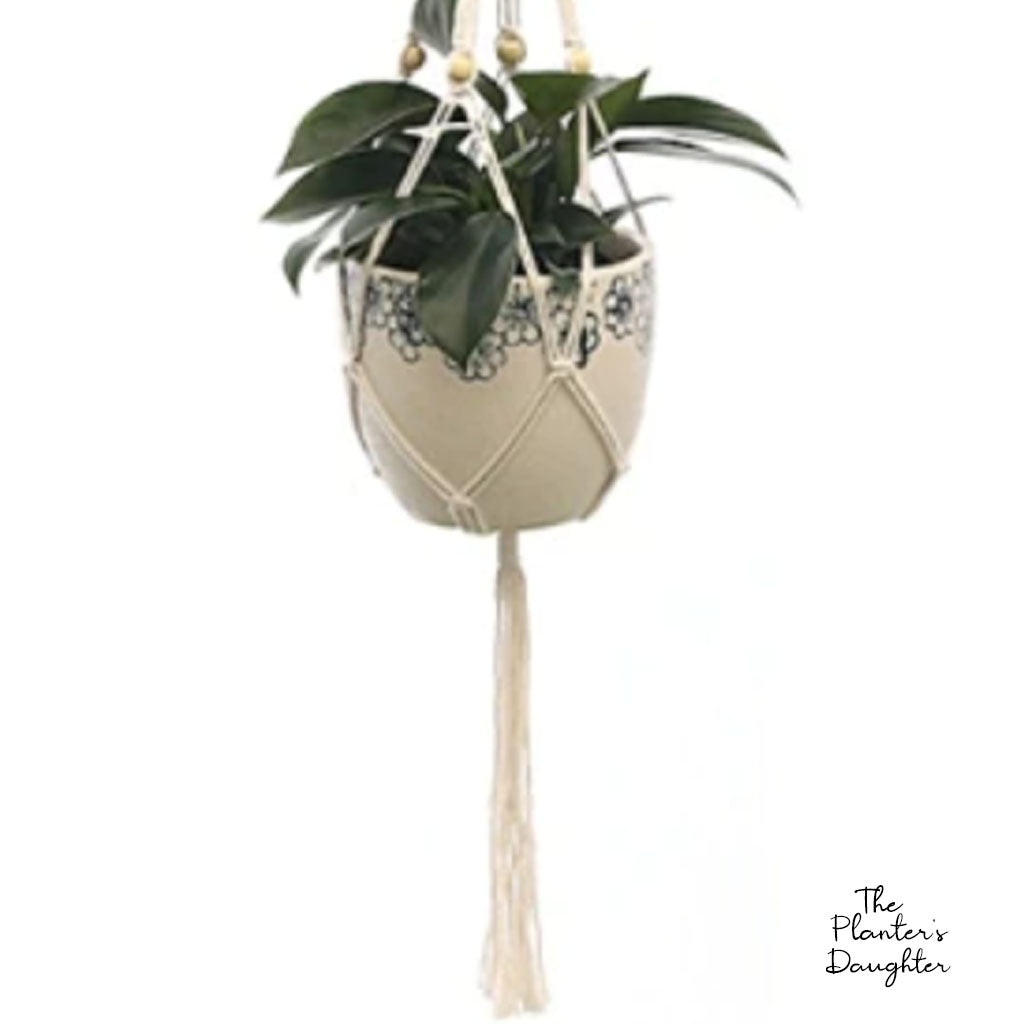 Double Envy Macrame Plant Hanger