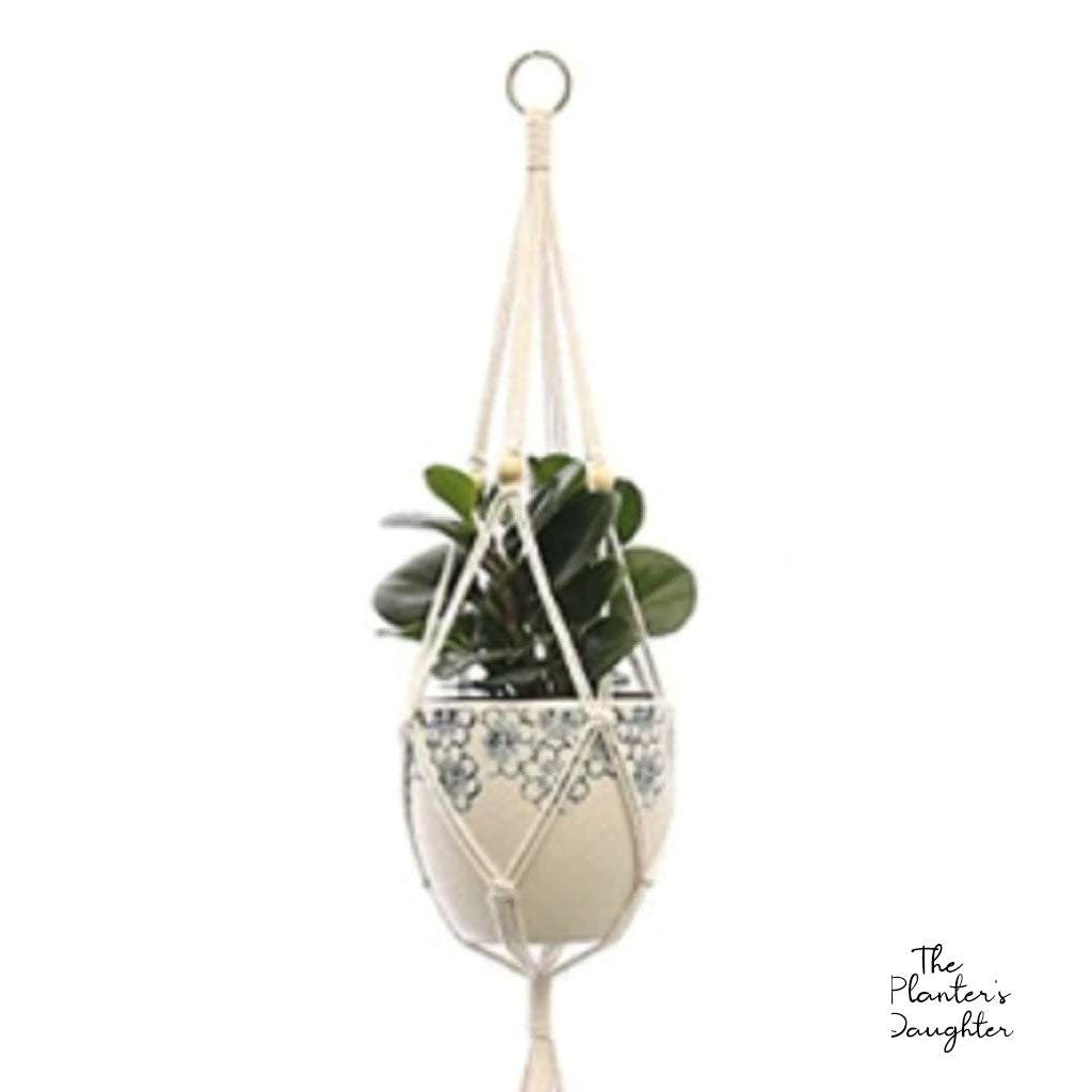 Double Envy Macrame Plant Hanger