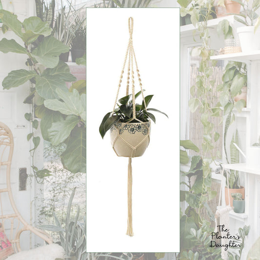 Anginette Macrame Plant Hanger