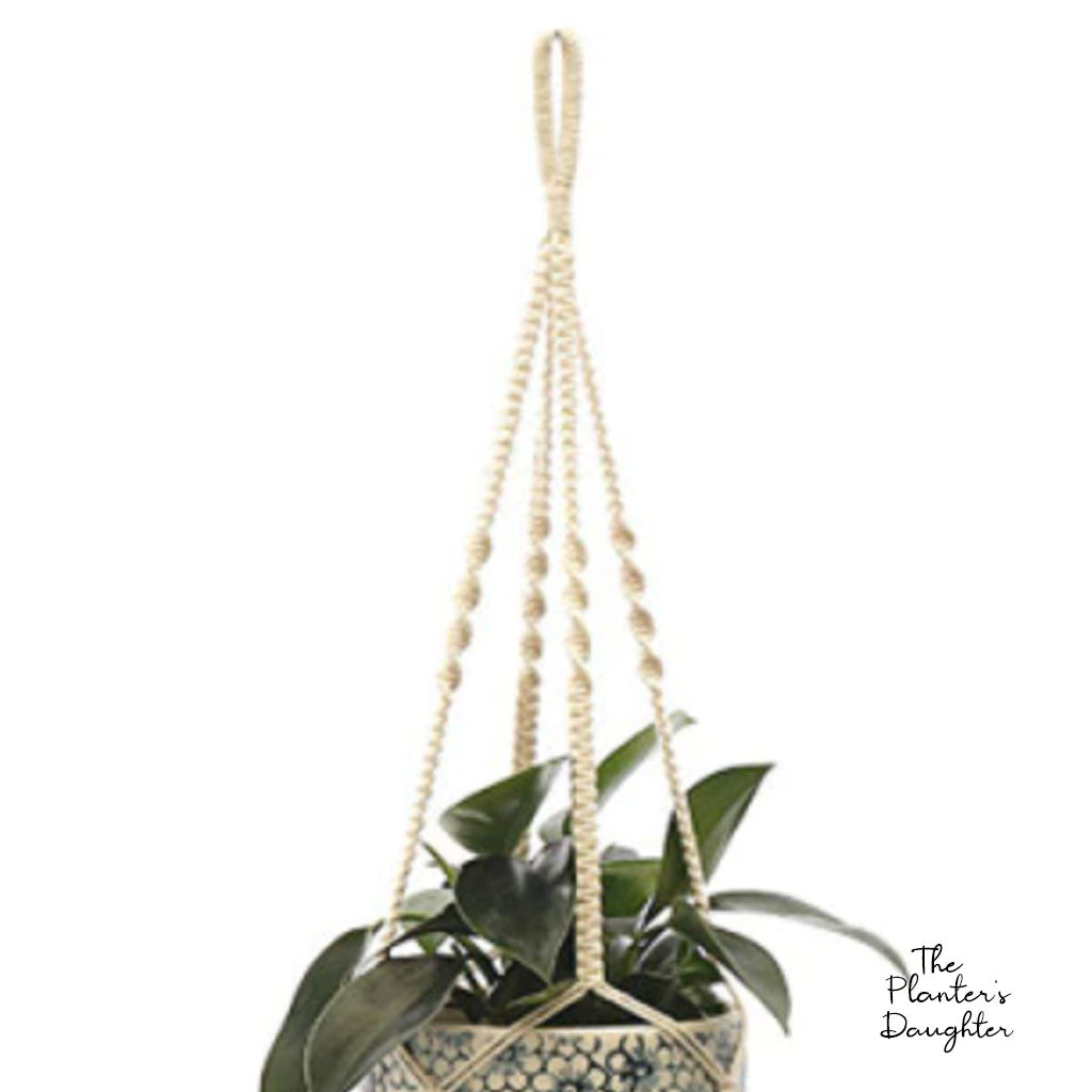 Anginette Macrame Plant Hanger