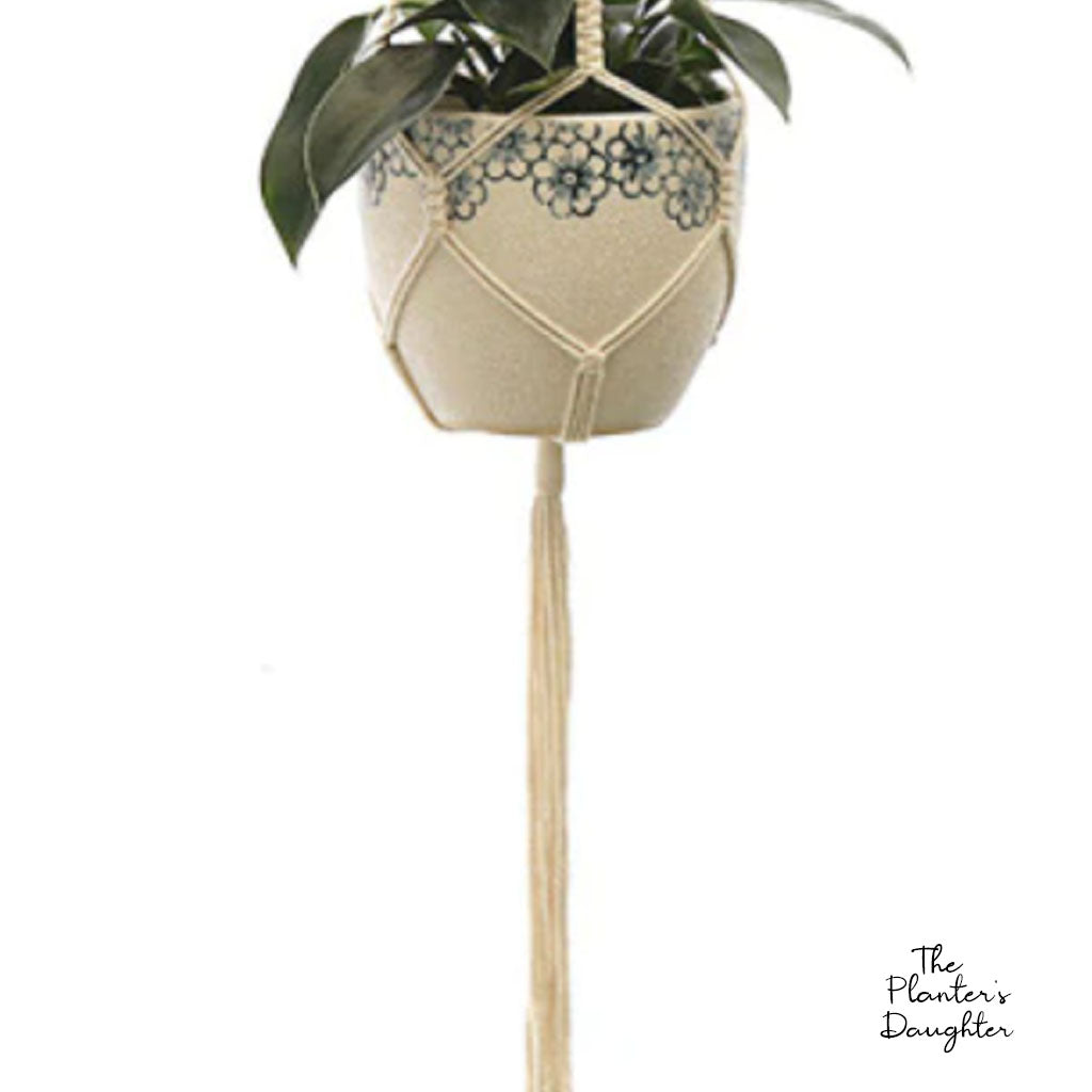 Anginette Macrame Plant Hanger