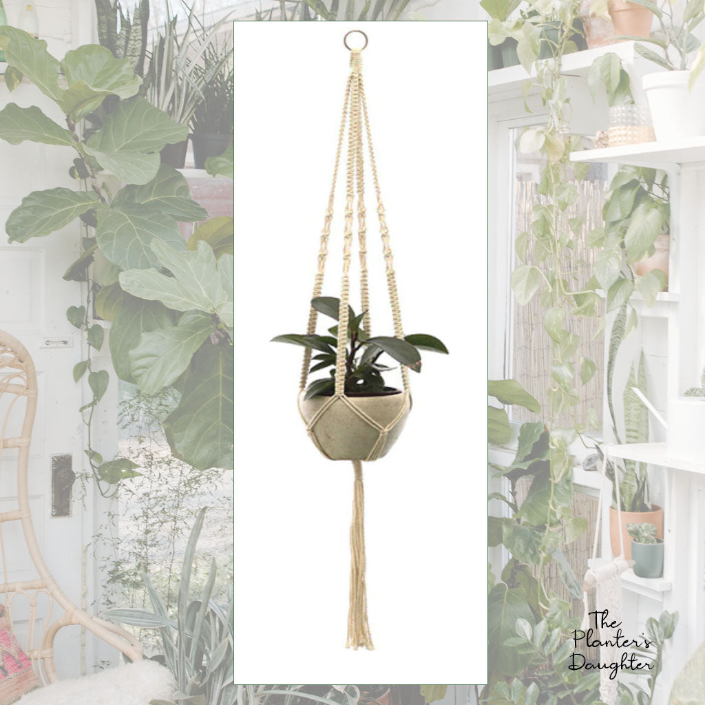 Felicia Macrame Plant Hanger