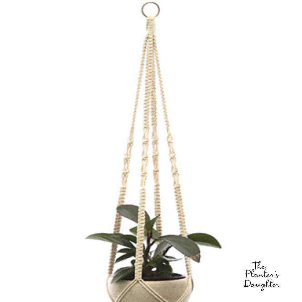 Felicia Macrame Plant Hanger