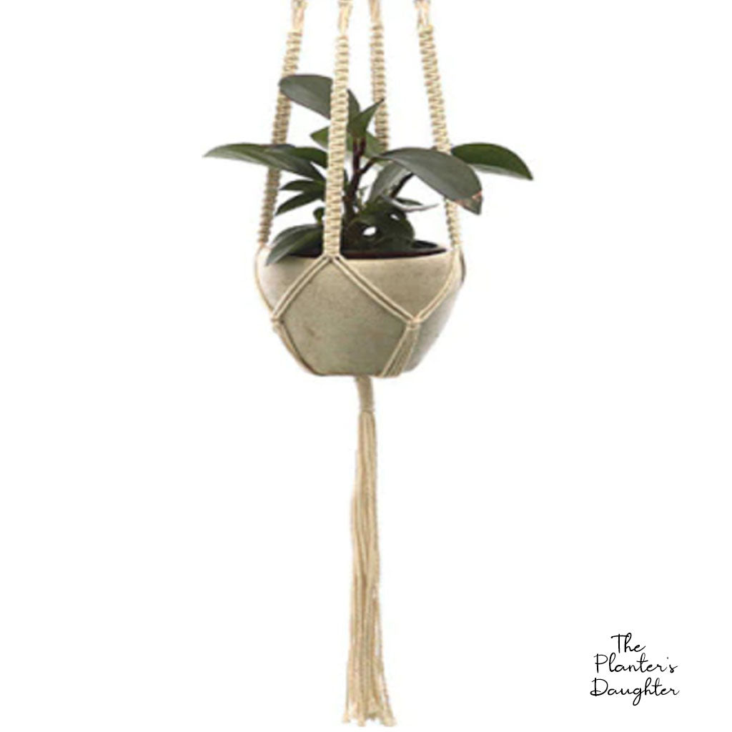 Felicia Macrame Plant Hanger