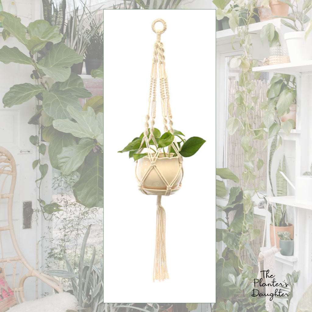 Georgia Macrame Plant Hanger