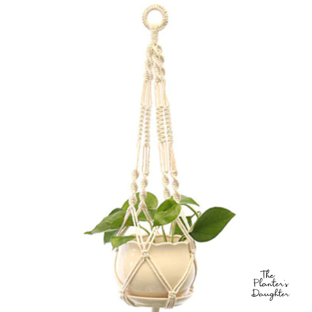 Georgia Macrame Plant Hanger