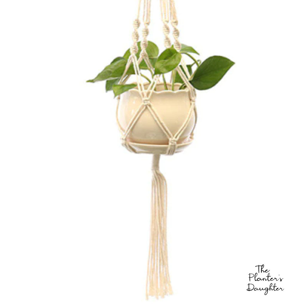 Georgia Macrame Plant Hanger