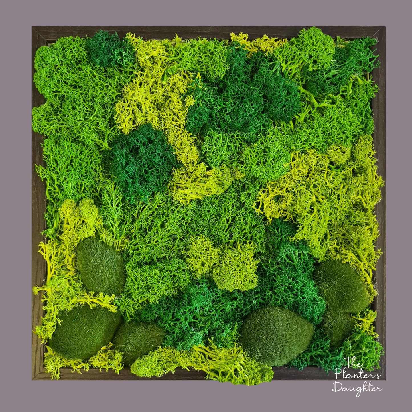 Moss Euphoria Frame, 23x23cm